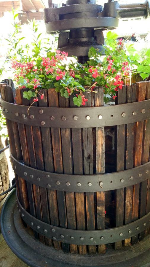 Relais Profumo Di Vino Bed & Breakfast Borgomanero Ngoại thất bức ảnh